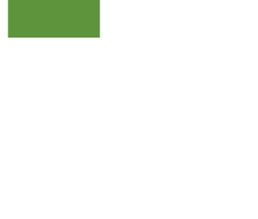 IDASION square logo